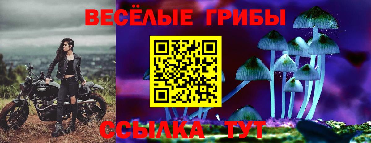 Шадринск  купить наркотик  Вход с VPN  Псилоцибиновые грибы Cubensis 